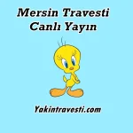 Mersin Travesti Canlı Yayın