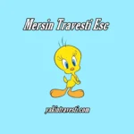 Mersin Travesti Esc