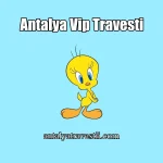 Antalya Vip Travesti