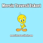 Mersin Travesti Telegram