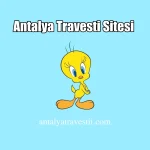 Antalya Travesti Sitesi