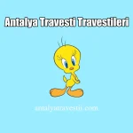 Antalya Travesti Travestileri