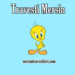 Mersin Travesti Eylül Görselleri