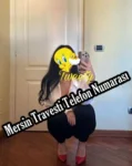Mersin Travesti Seçenekleri